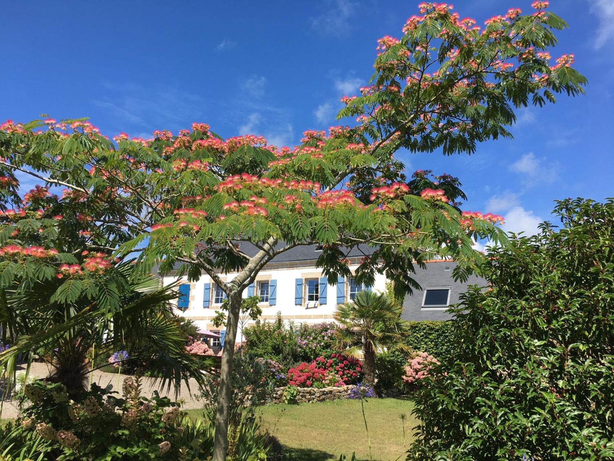 La Ferme De Kerivoas Bed & Breakfast ออเดียร์น ภายนอก รูปภาพ